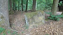 Ritterstein Nr. 304-3 Gewidmet dem Wald- und Wanderfreund Herrn Josef Fichtner Forstmeister in Elmstein 1936 - 1956